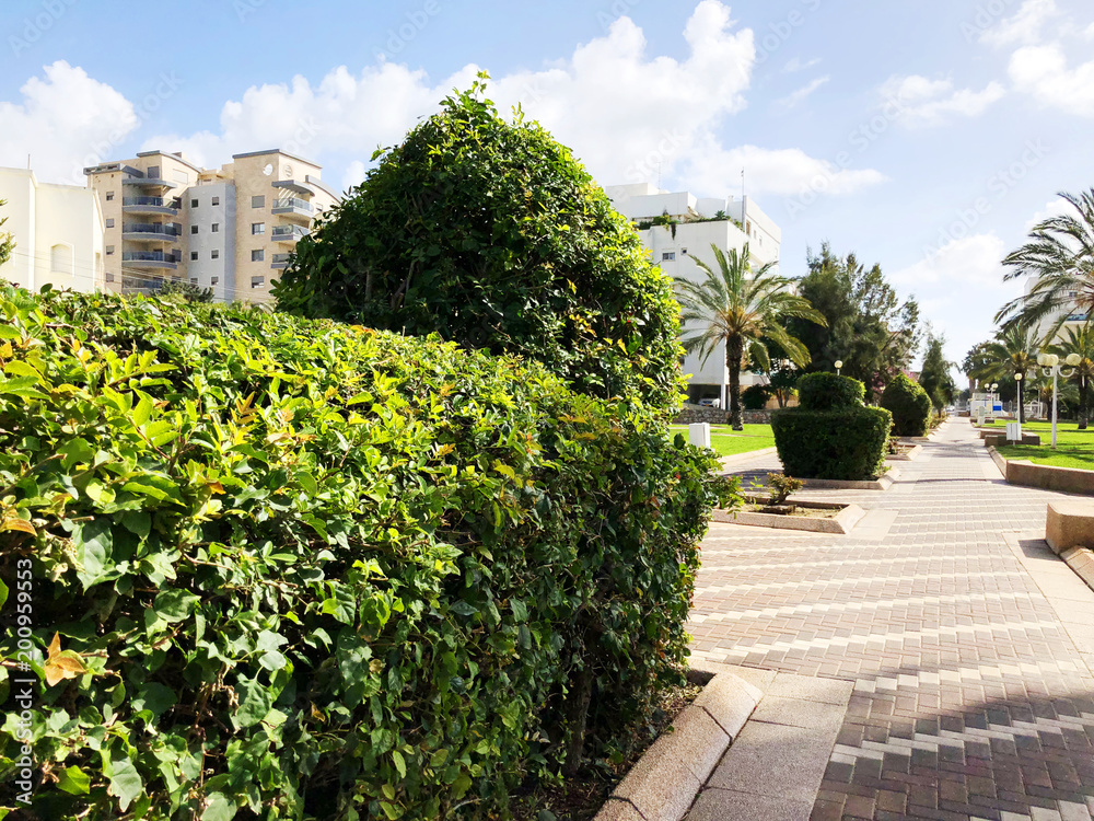 Φωτογραφία NAHARIYA, ISRAEL-MARCH 9, 2018: Street in the center of Nahariya, Israel