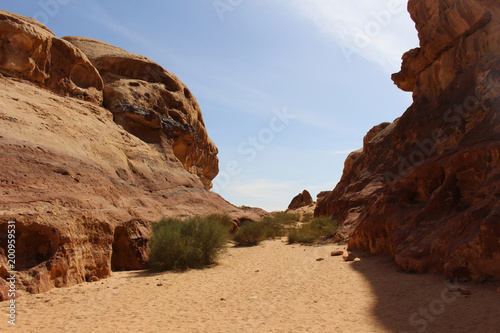 Wadi Rum desert Jordan