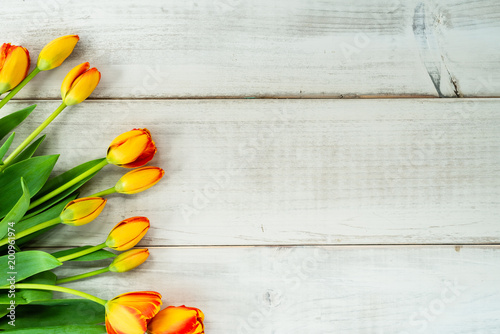 A bunch of tulips on whitewashed wood planks