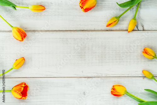 Tulips on the outer edge of whitewashed wood planks