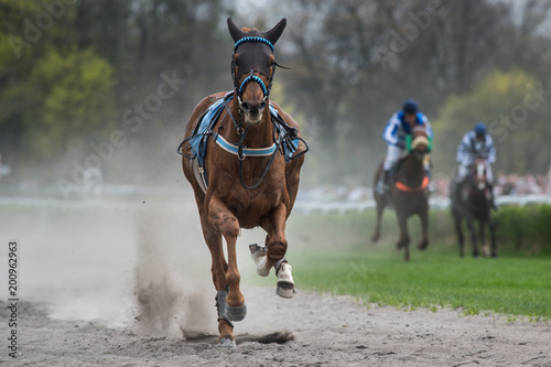 Frightened horse without jockey during horseracing. Fototapet