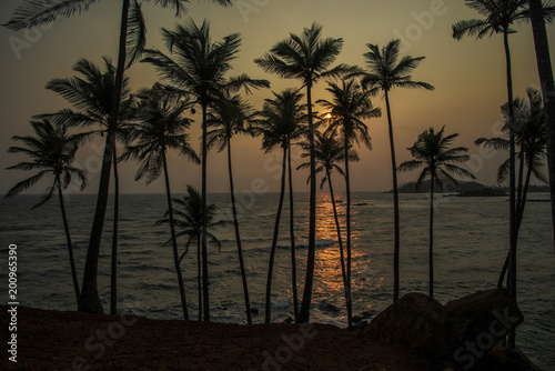 Fototapeta Naklejka Na Ścianę i Meble -  Sri Lanka Sunset Palms Hill Mirissa