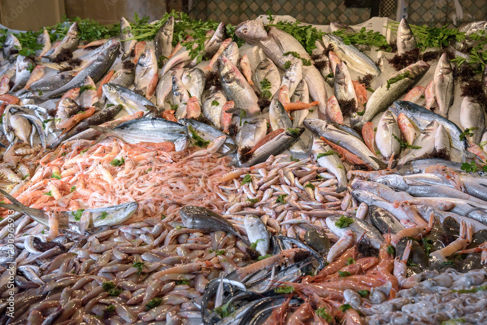 Seafood at the fish market