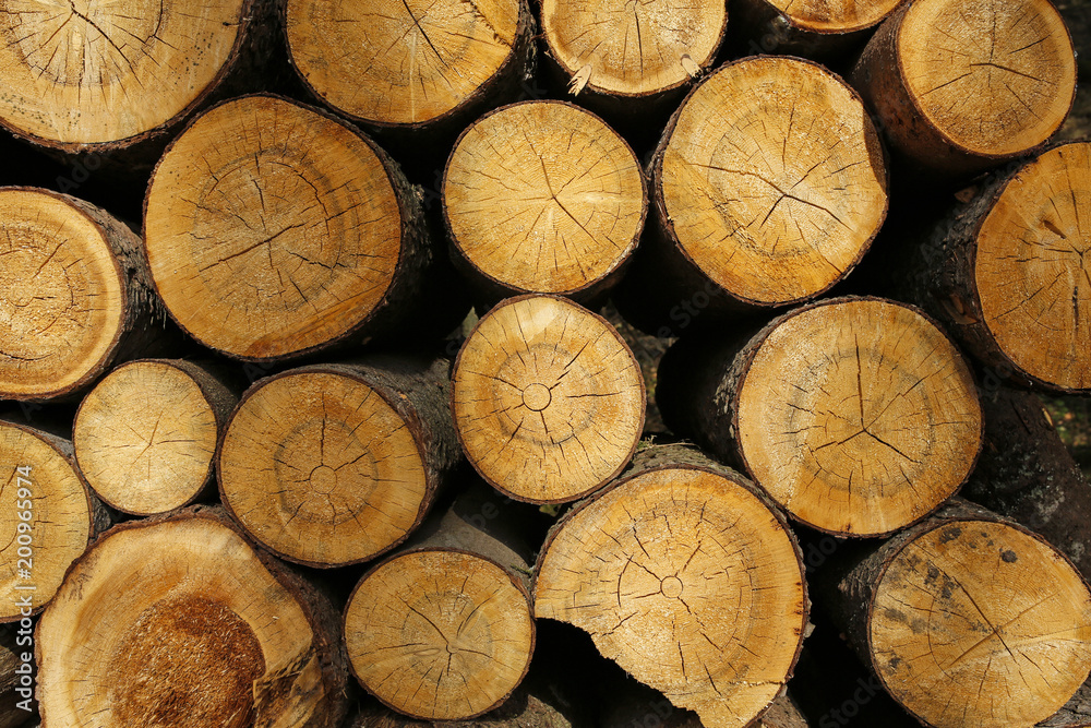 wooden logs texture or background wooden logs texture or background