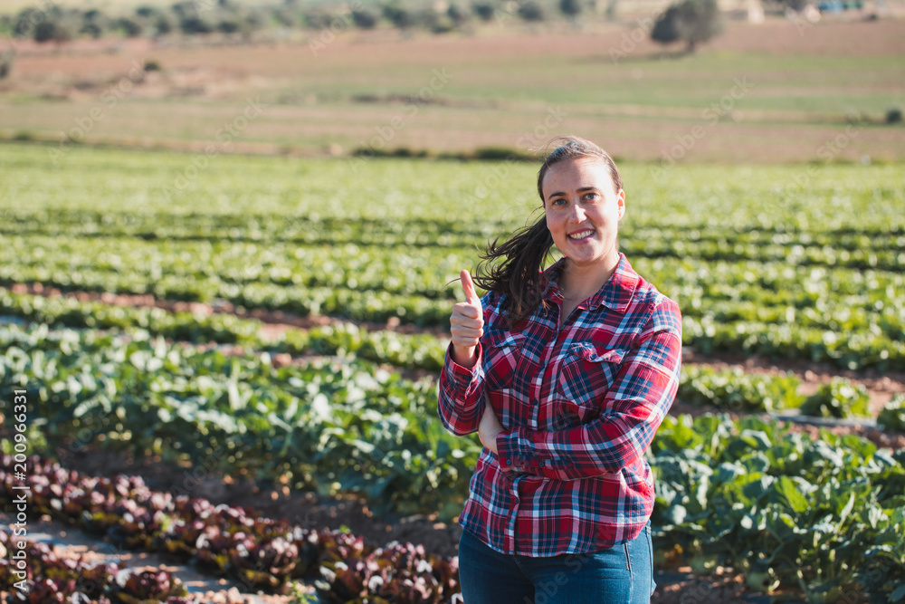 Fototapeta premium young technical woman smiling and looking to the camera with thumb up in a field of lettuces