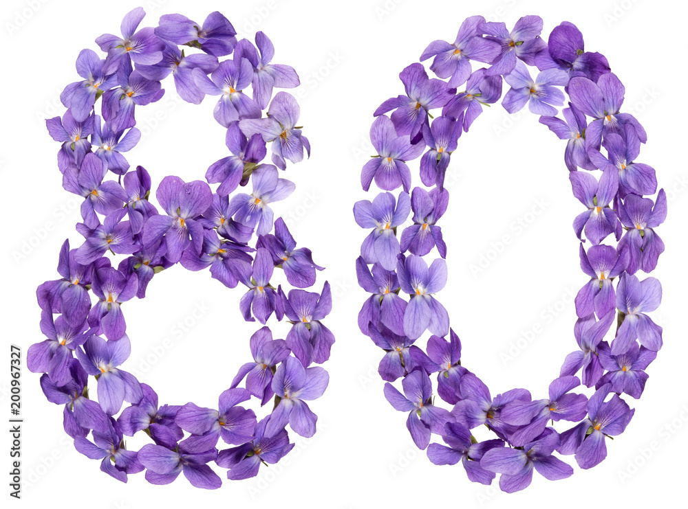 Arabic numeral 80, eighty, from flowers of viola, isolated on white background Arabic numeral 80, eighty, from flowers of viola, isolated on white background