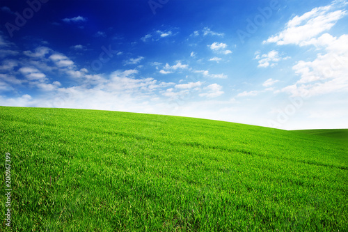 field with green grass and sky with clouds. Clean, idyllic, beautiful summer landscape with sun.