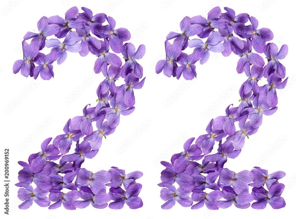 Arabic numeral 22, twenty two, from flowers of viola, isolated on white background Arabic numeral 22, twenty two, from flowers of viola, isolated on white background