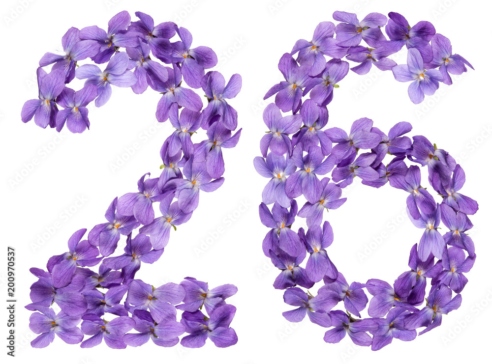 Arabic numeral 26, twenty six, from flowers of viola, isolated on white background Arabic numeral 26, twenty six, from flowers of viola, isolated on white background