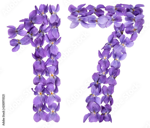 Arabic numeral 17, seventeen, from flowers of viola, isolated on white background