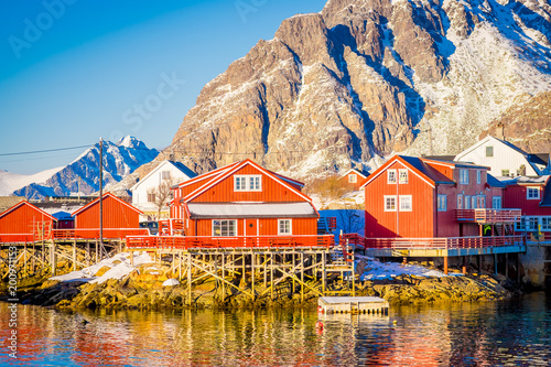 Outdoor view of a port in Henningsvaer with typical red wooden buildings on Lofoten islands photo