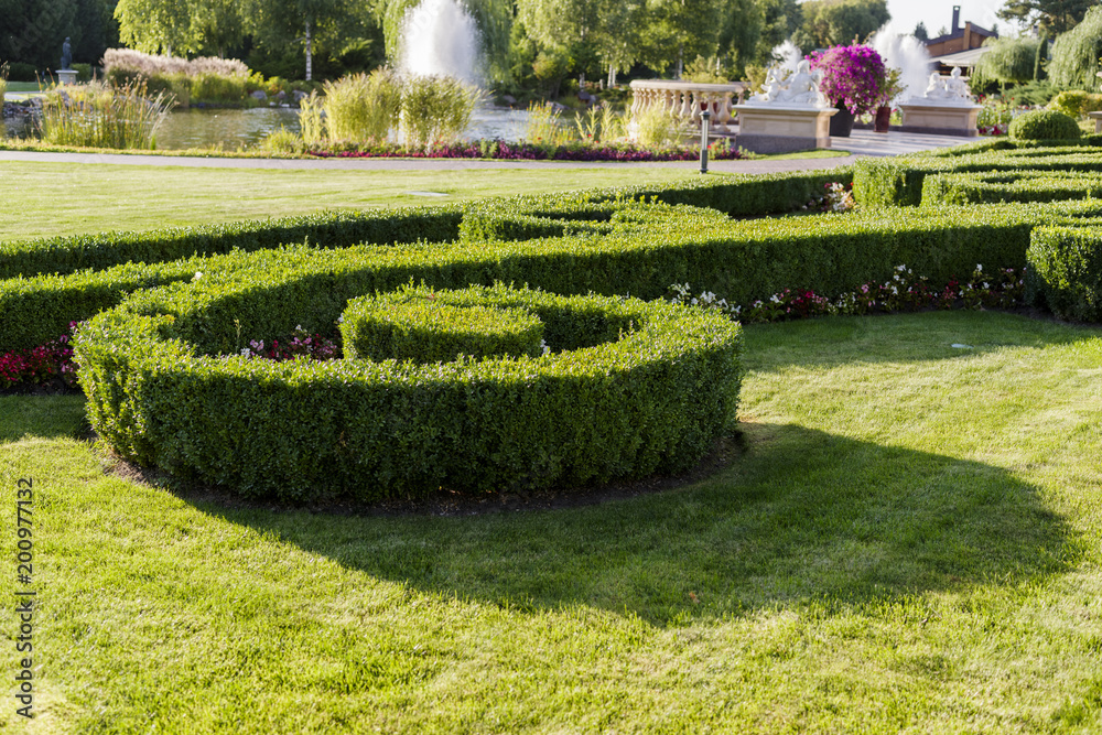 green well-groomed plants and trimmed shrubs in landscape design green well-groomed plants and trimmed shrubs in landscape design