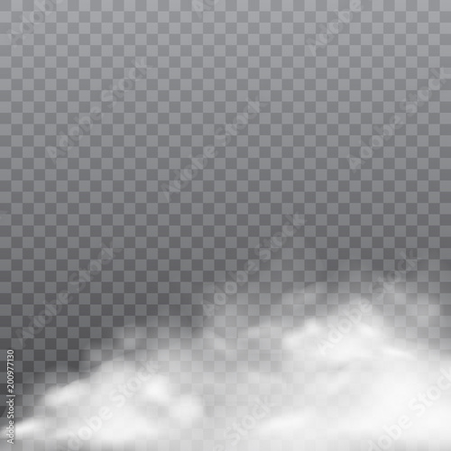 Realistic fog or smoke on transparent background. Vector.