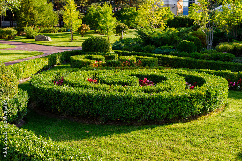 evergreen plants and geometrically trimmed shrubs in landscape design evergreen plants and geometrically trimmed shrubs in landscape design