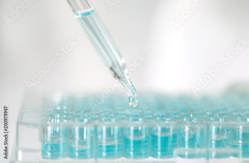 Close up a scientist working in laboratory to analyze blue extracted of DNA  molecules in a micro tube plate , clinical or science testing analysis concept