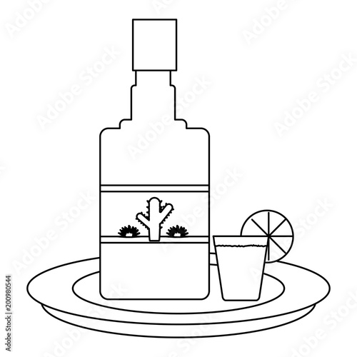 tequila bottle and shot icon over white background, vector illustration