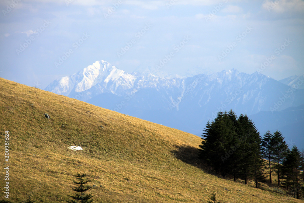 Fototapeta premium 車山