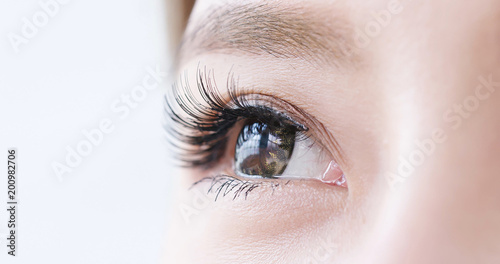 close up woman eye photo