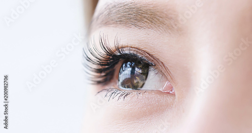 close up woman eye