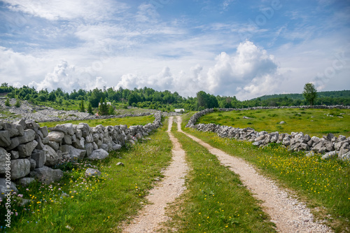 The rural road leads to small houses.