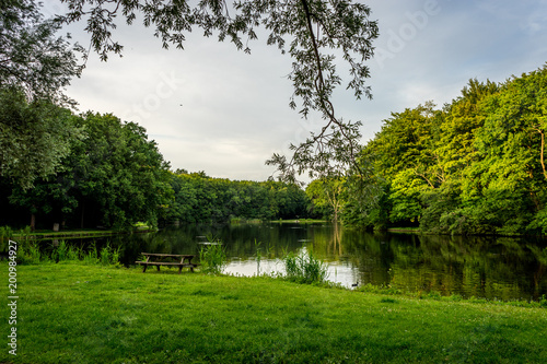 Wooden bench on green grass overlooking a water pond at Haagse Bos, forest in The Hague