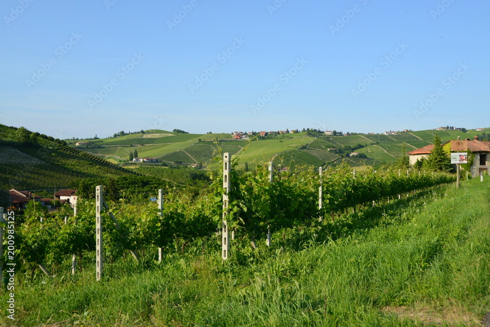 イタリア、ワインの里ピエモンテの風景