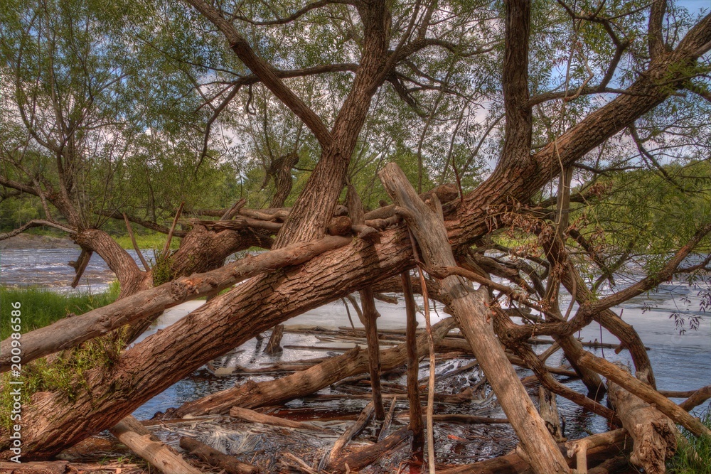 Jay Cooke State Park is on the St. Louis River south of Duluth in Minnesota