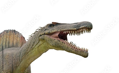 Spinosaurus is a genus of theropod dinosaur that lived in North Africa. Spinosaurus was among the largest of all known carnivorous dinosaurs, nearly as large as or even larger than Tyrannosaurus.