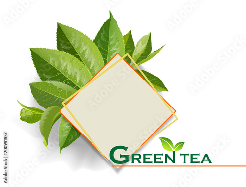 Vector green tea frame with tea leaves and drops on white background.