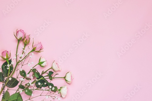 Top view of pink roses over pink background. Copy space.