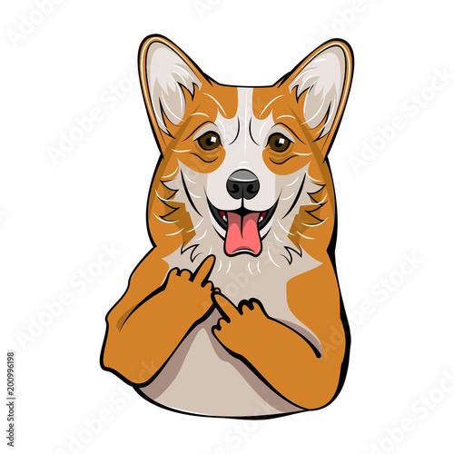 Welsh Corgi. Middle finger gesture. Dog breed portrait. Vector.