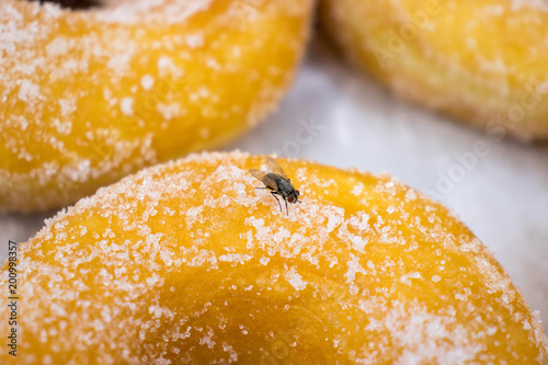 Housefly hanging on the doughnut communicated to dirtiness..