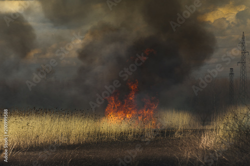 Landscape after fire © kroko021