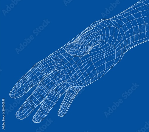 Human hand wire-frame. Vector