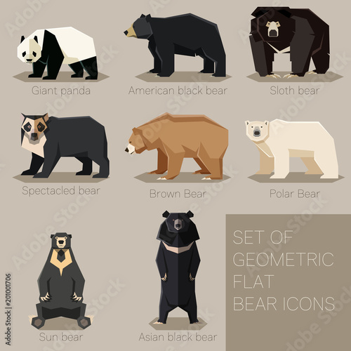 Set of flat geometric bear icons