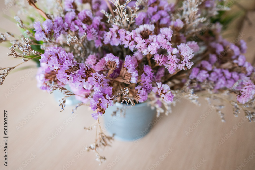 Pink flower in the flowerpot