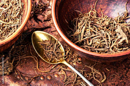 Fotografía Roots and rhizomes Valerian officinalis