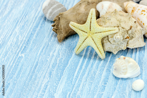 seashells, pebble and starfish on blue wooden planks background. vacation concept 