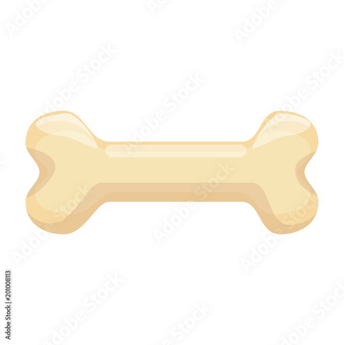 bone toy mascot icon vector illustration design photo