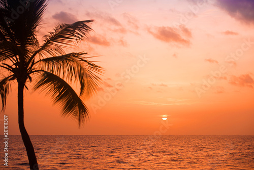 Palm trees silhouette at sunset tropical beach. Orange sunset. © Yarkovoy