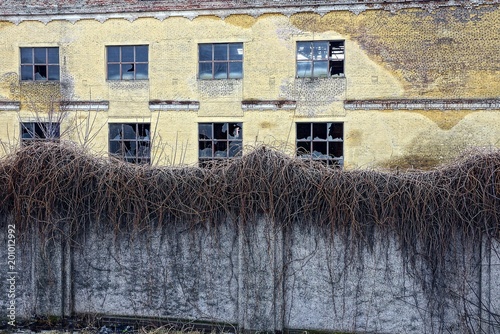 An old abandoned building with broken windows behind a fence of overgrown plants