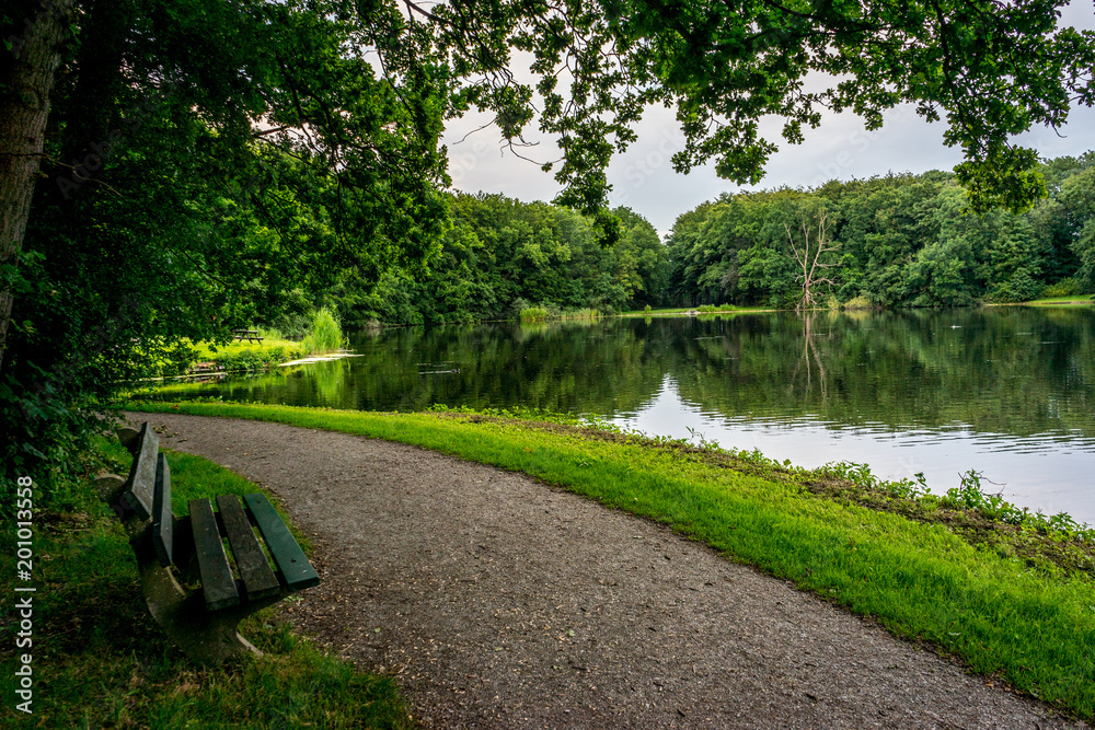 walking path with a wooden bench along a pond at Haagse Bos, forest in The Hague