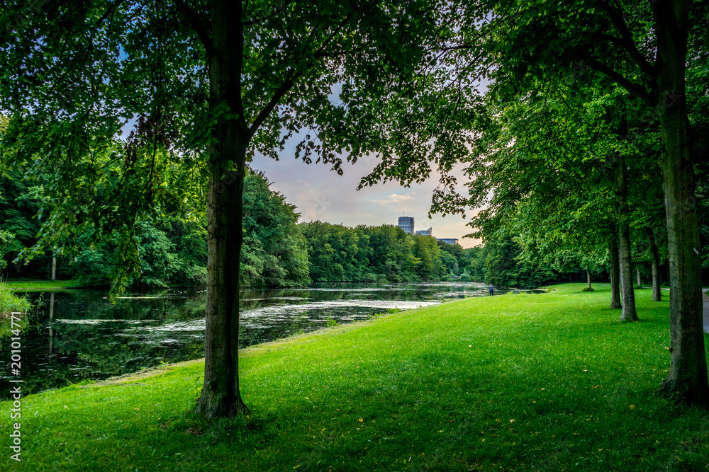 Lake next to green grass at Haagse Bos, forest in The Hague Lake next to green grass at Haagse Bos, forest in The Hague