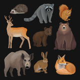 Wild northern forest animals set, hedgehog, raccoon, squirrel, deer, fox, bear cub, wild boar, hare vector Illustrations on a black background