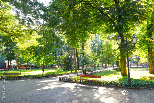 morning in summer city park, bright sunlit, green trees and shadows