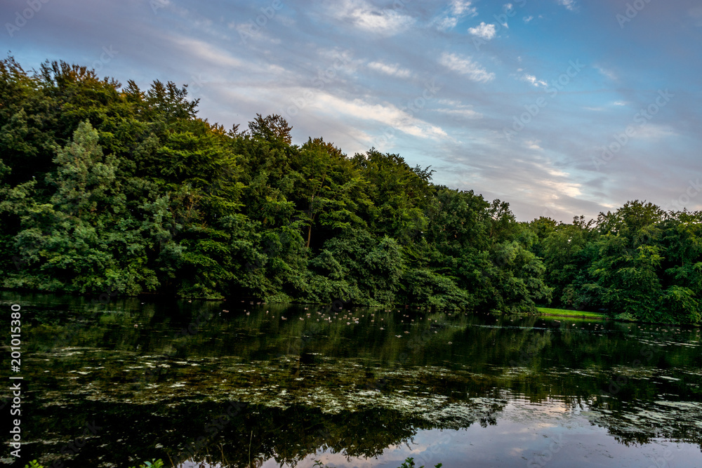 Blue sky over a pond at Haagse Bos, forest in The Hague