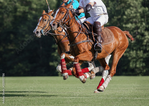 Battle of horse Polo Players in the game: horses in action © Svetlana