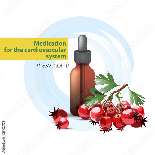 The medicine for the cardiovascular system is tincture of hawthorn.