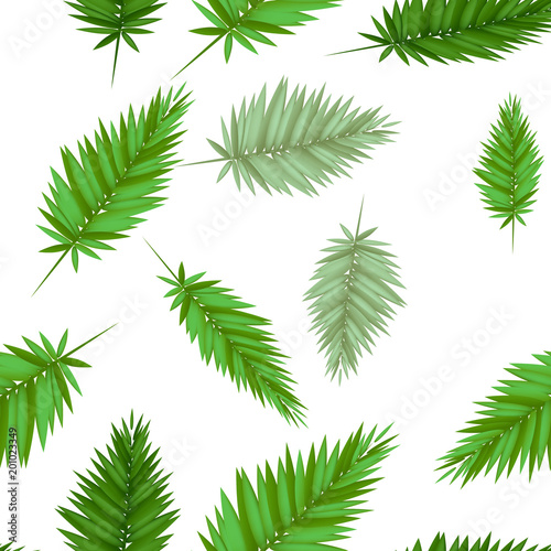Palm tree leaves seamless pattern. Beautiful vector illustration of jungle theme.