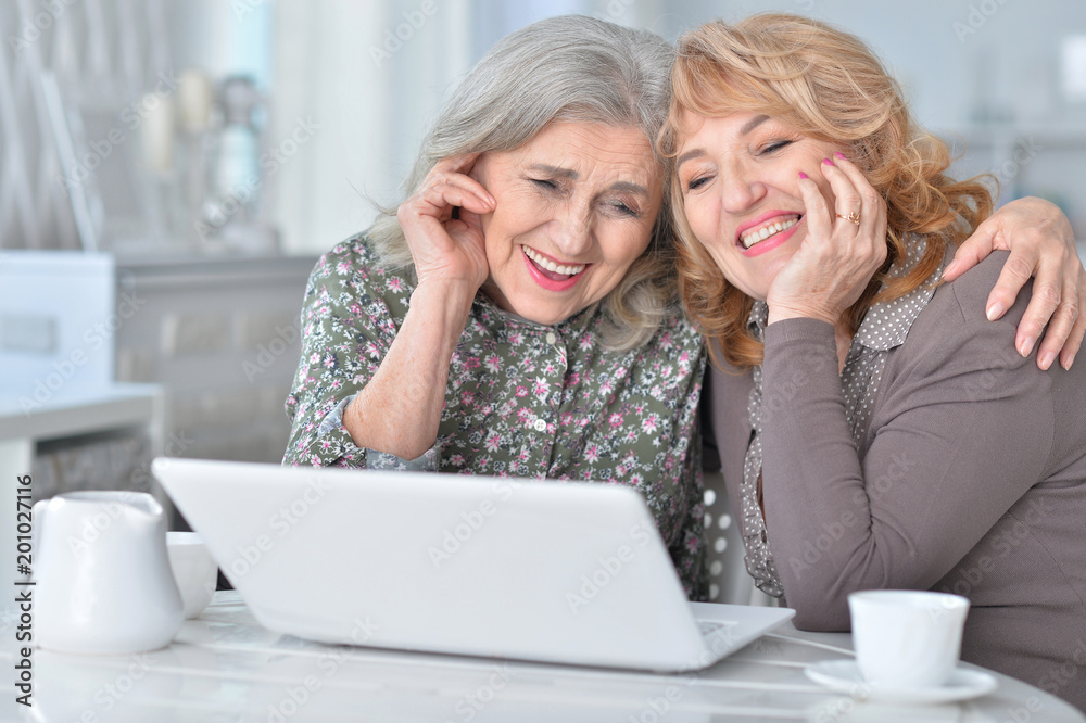 two senior women using laptop two senior women using laptop